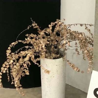 Furry原创作品设计思路Furry群